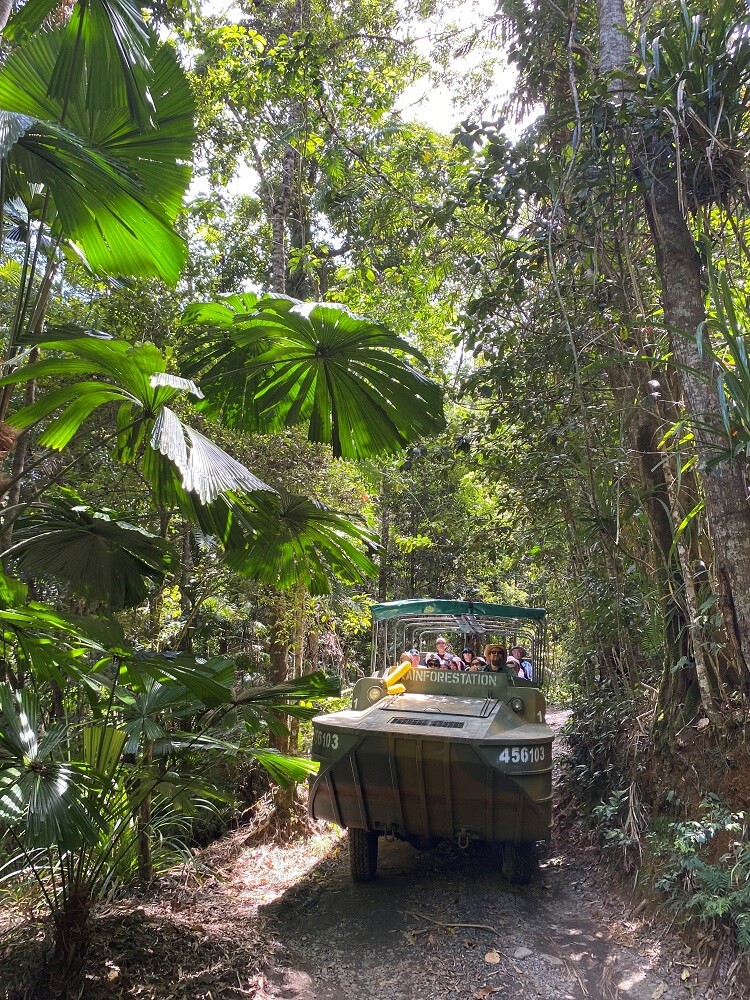 aifs-freiwilligenarbeit-australien-erfahrungen-elina-wildlife-habitat-dschungel