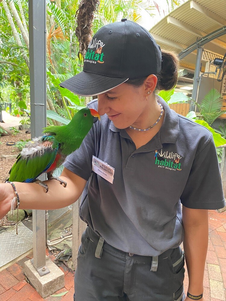 aifs-freiwilligenarbeit-australien-erfahrungen-elina-wildlife-habitat-vogel