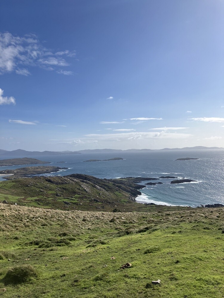 Marits Erfahrungen bei der Freiwilligenarbeit in Irland mit AIFS