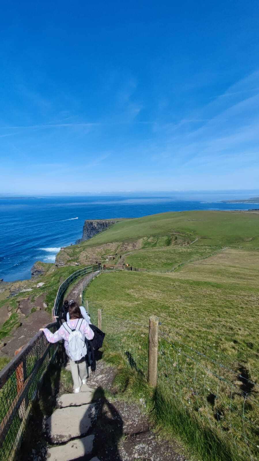 Pias Erfahrungen bei der Freiwilligenarbeit in Irland mit AIFS
