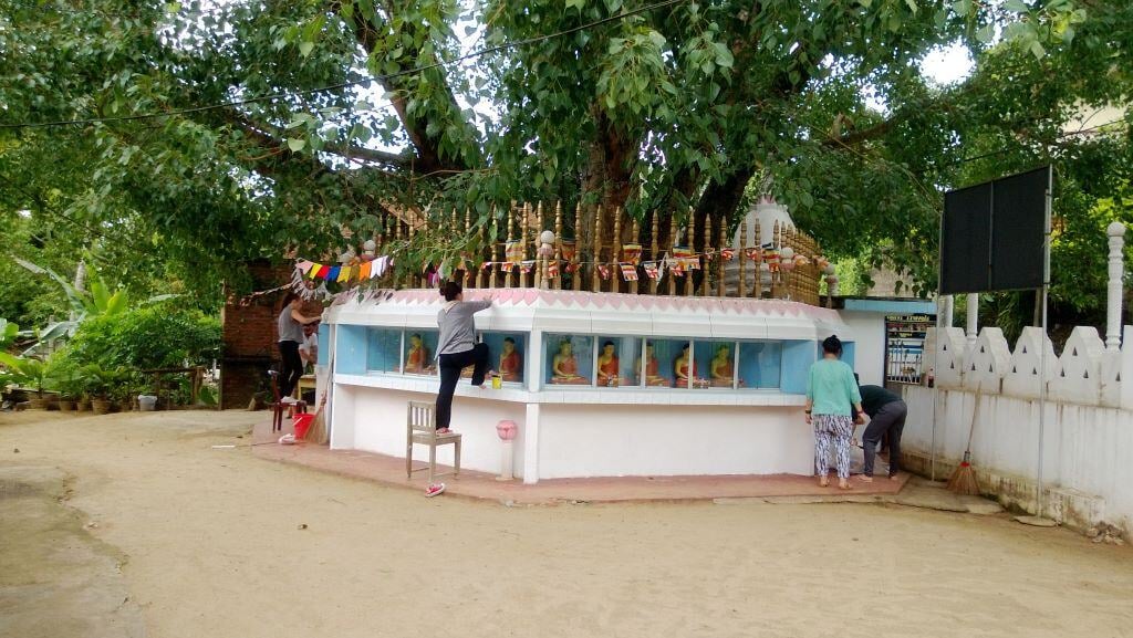 Freiwillige in Sri Lanka bei der Verschönerung eines Gebäudes im Renovation & Construction Projekt von AIFS.