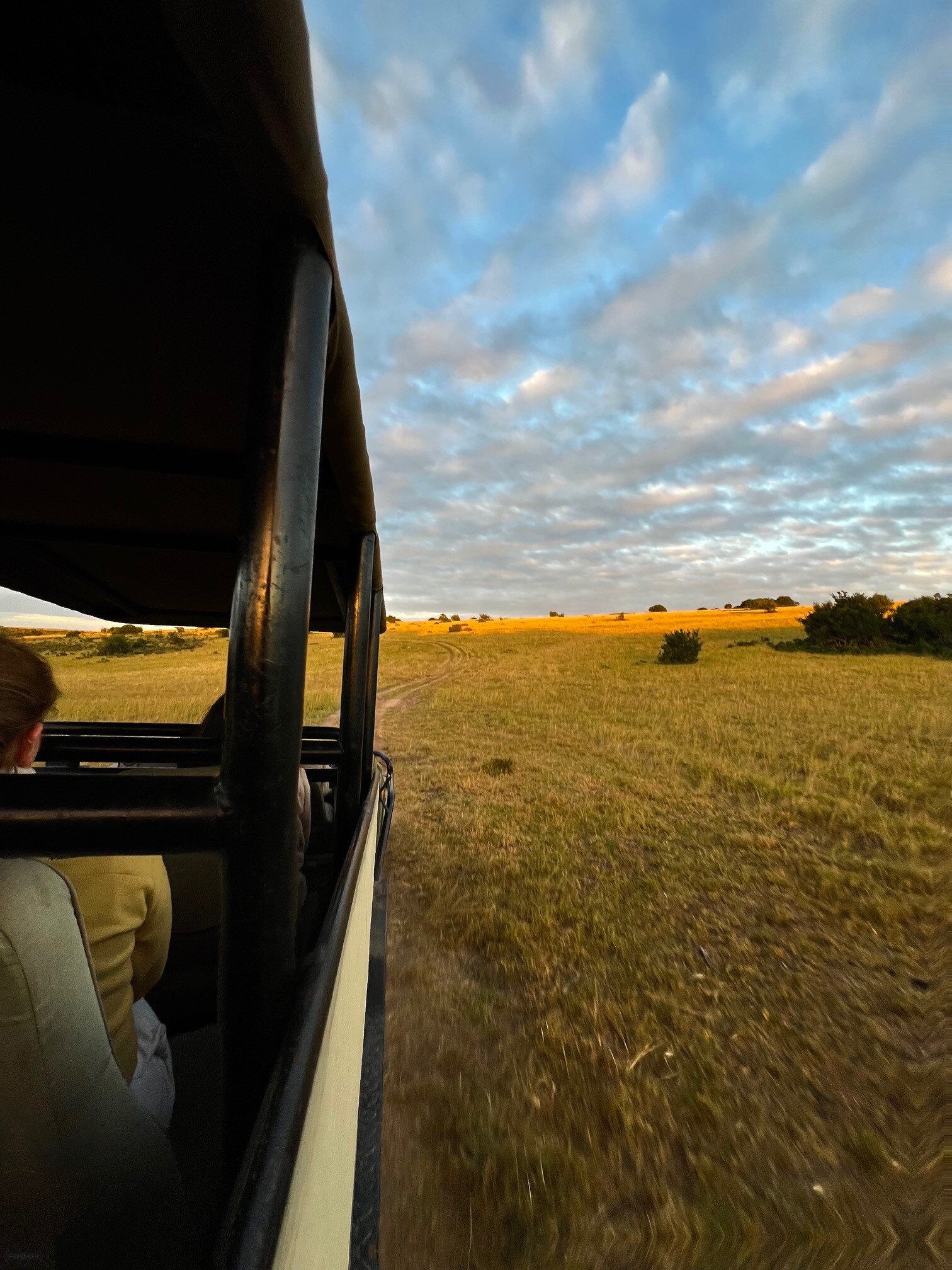 aifs-freiwilligenarbeit-suedafrika-freiwilligenarbeit-erfahrungen-mara-lena-jeep