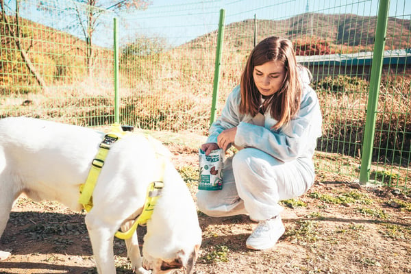 aifs-freiwilligenprojekt-animal-care-seoul-animal-care-suedkorea-hund-volunteer-person