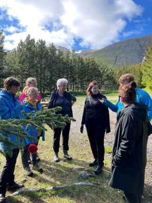 aifs-island-freiwilligenarbeit-forest-and-beach-personen