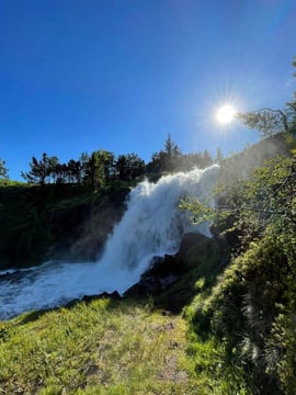 aifs-island-freiwilligenarbeit-forest-and-beach-wasserfall