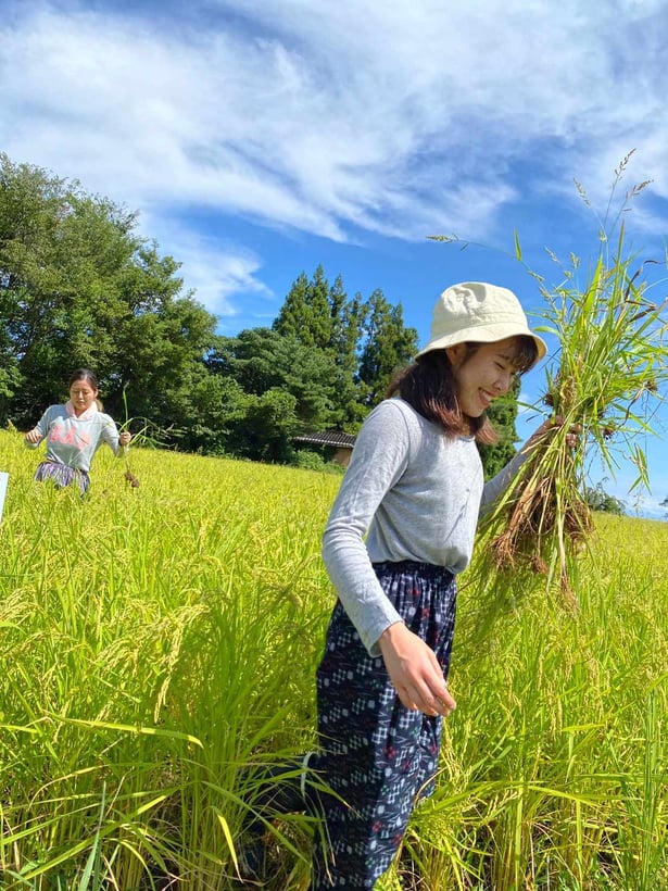 aifs-japan-freiwilligenarbeit-community-work-naturschutz-person-ernte-natur-landschaft