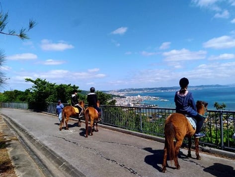 aifs-japan-ranchwork-pferde-personen-aussicht