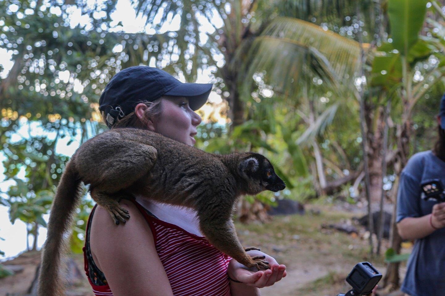 aifs-madagaskar-freiwilligenarbeit-lermur-person-4