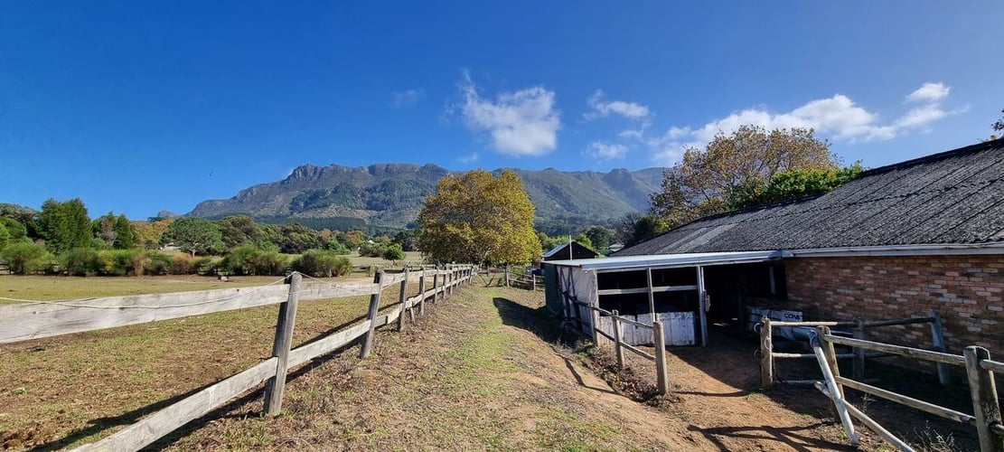 aifs-ranchwork-südafrika-healing-through-horses-pferd-aussenanlage