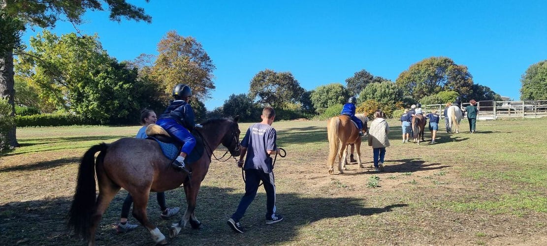 Pferderanch in Südafrika