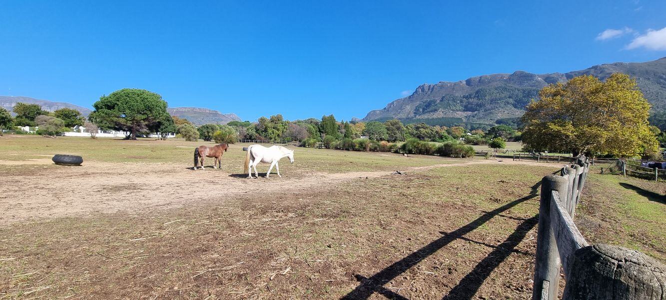 Pferderanch in Südafrika mit AIFS