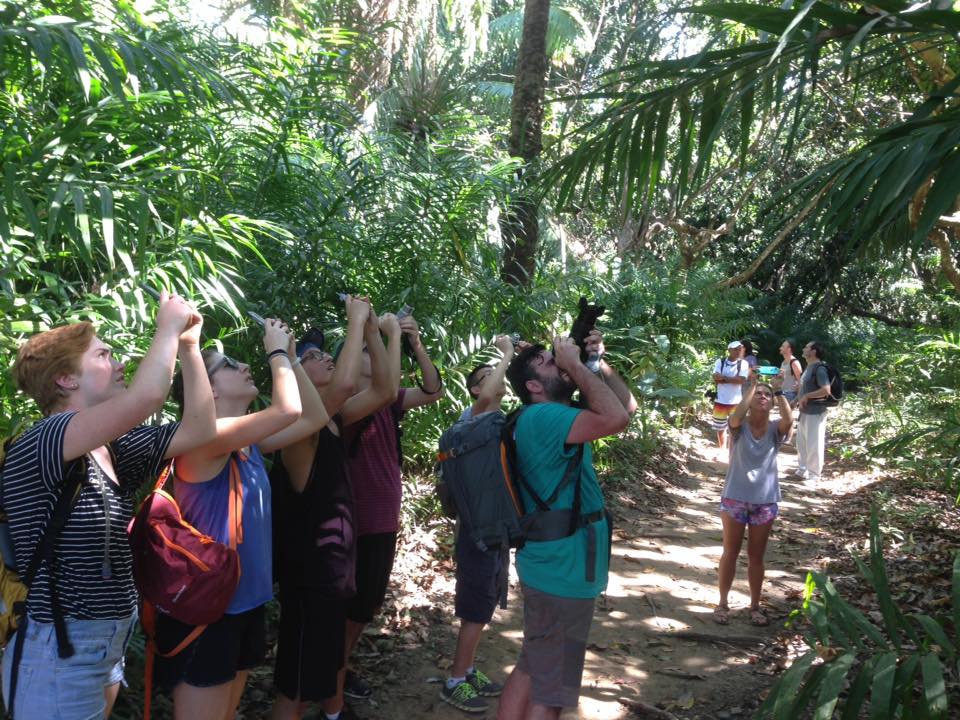 Erfahrungen Studieren in Costa Rica mit AIFS