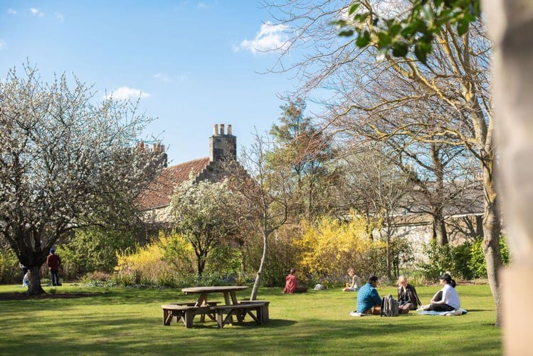 Mit Freunden im Park der University of St Andrews sitzen