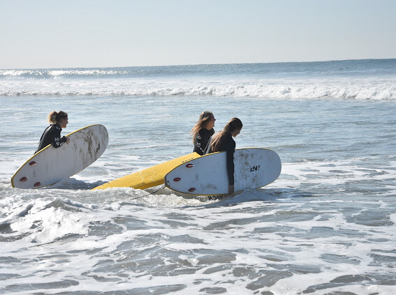 aifs-studieren-in-den-usa-erfahrungen-malene-surfen