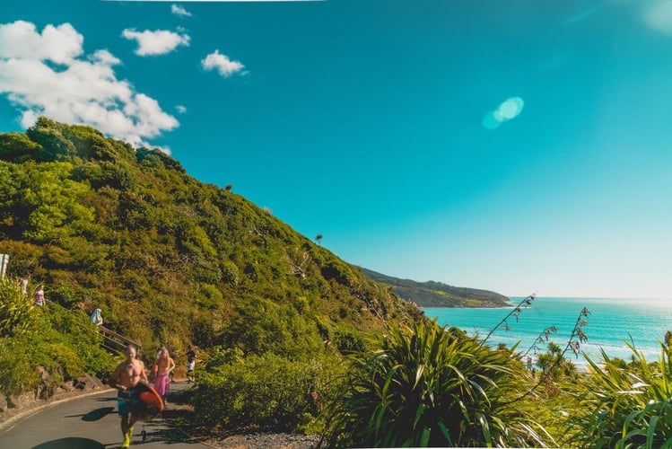 aifs-surfcamps-neuseeland-raglan-strasse-natur-bilder-fabian