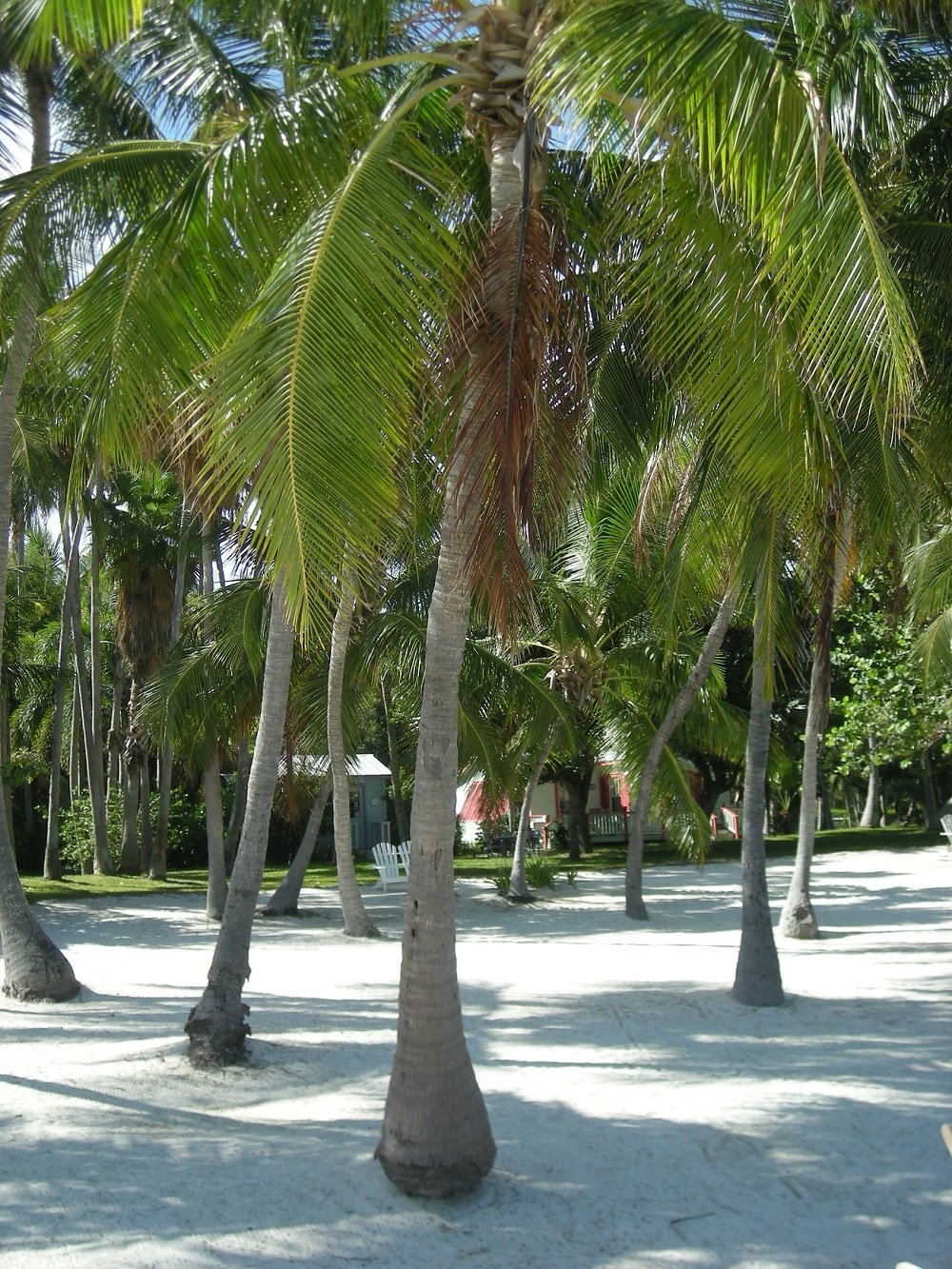 Schüleraustausch in Florida