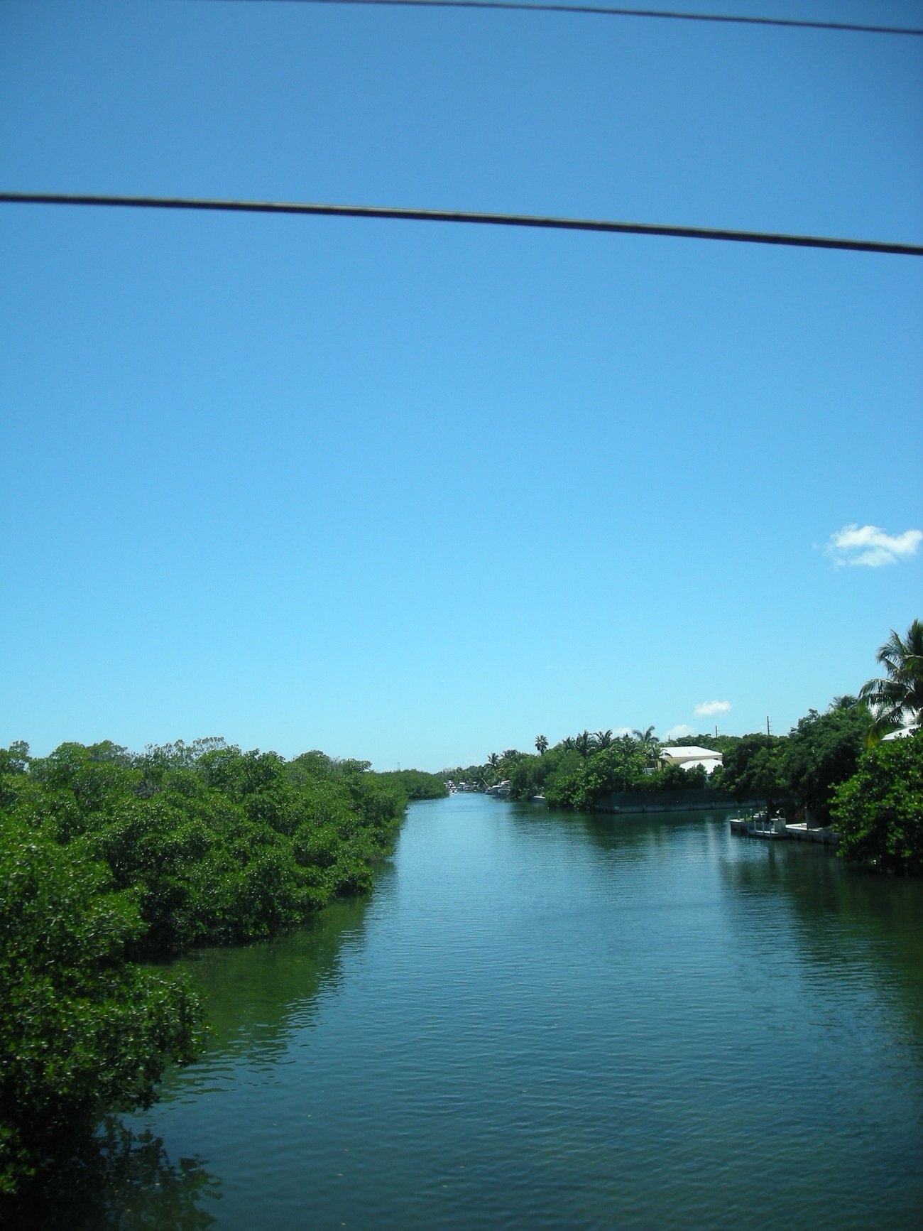 Schüleraustausch in Florida