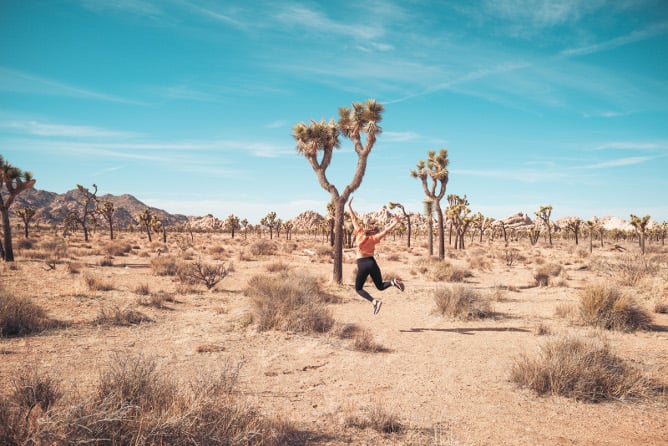 aifs-usa-kalifornien-Joshua-Tree-Nationalpark-person-program-carousel-668x1000