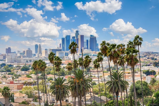 aifs-usa-kalifornien-los-angeles-downtown-skyline-palmen