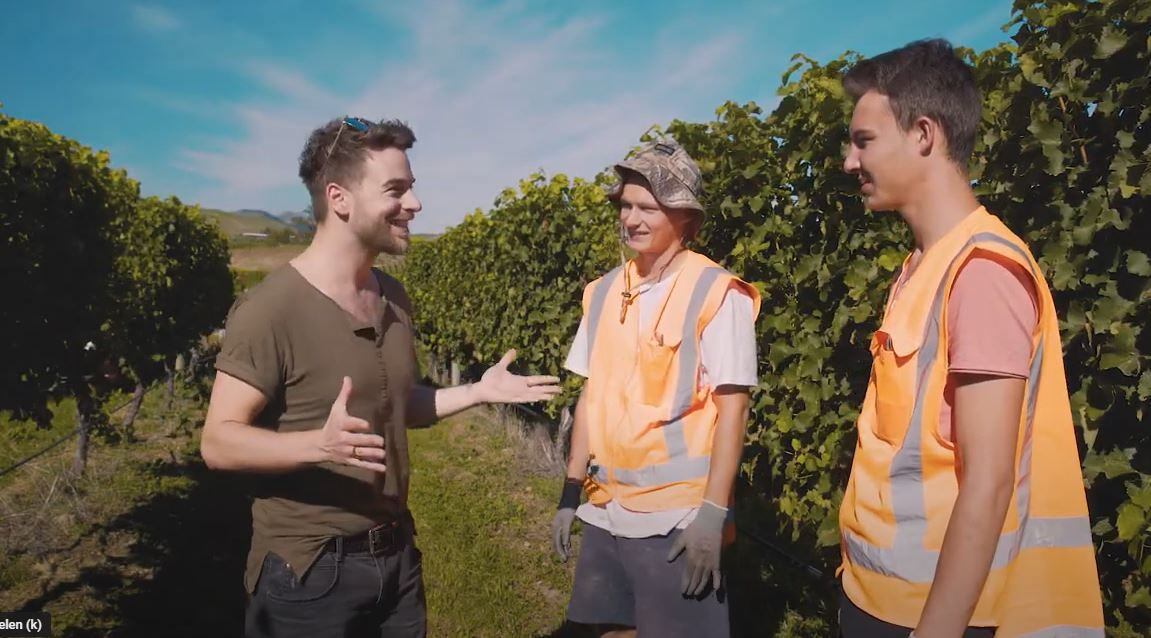 Erfahrungen Work and Travel in Neuseeland mit AIFS