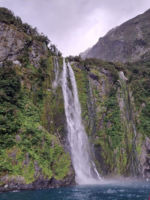aifs-work-and-travel-neuseeland-ugc-2 (1)