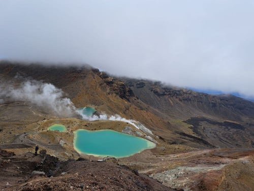 aifs-work-and-travel-neuseeland-ugc-6