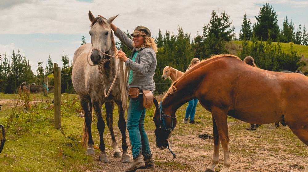 Erfahrungen Ranchwork in Neuseeland mit AIFS