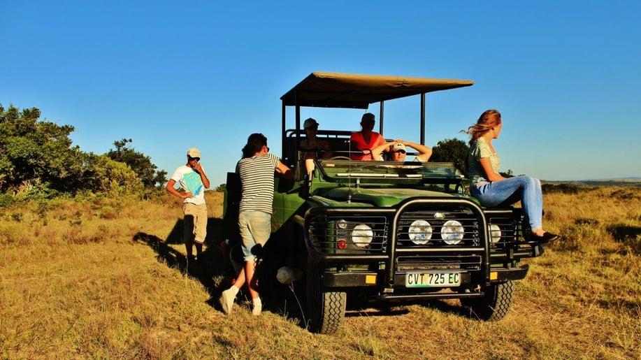 Safari im Freiwilligenprojekt in Südafrika