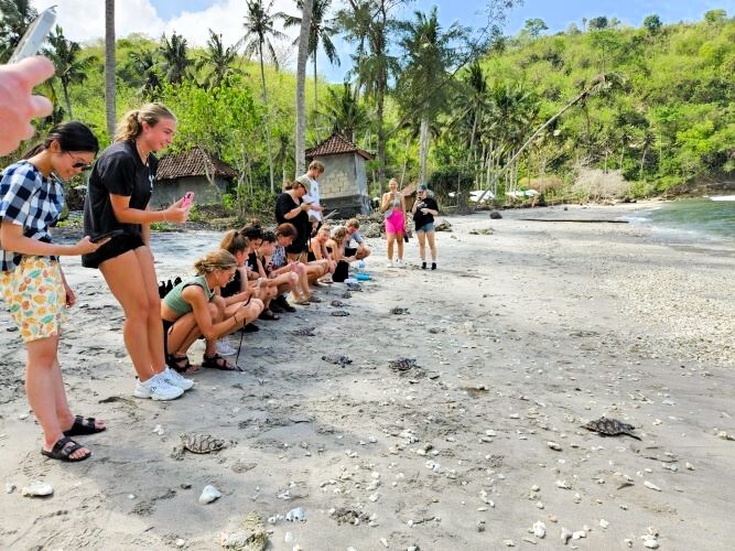 freiwilligenarbeit-adventure-trips-bali-turtle-week-partnerfotos (1)