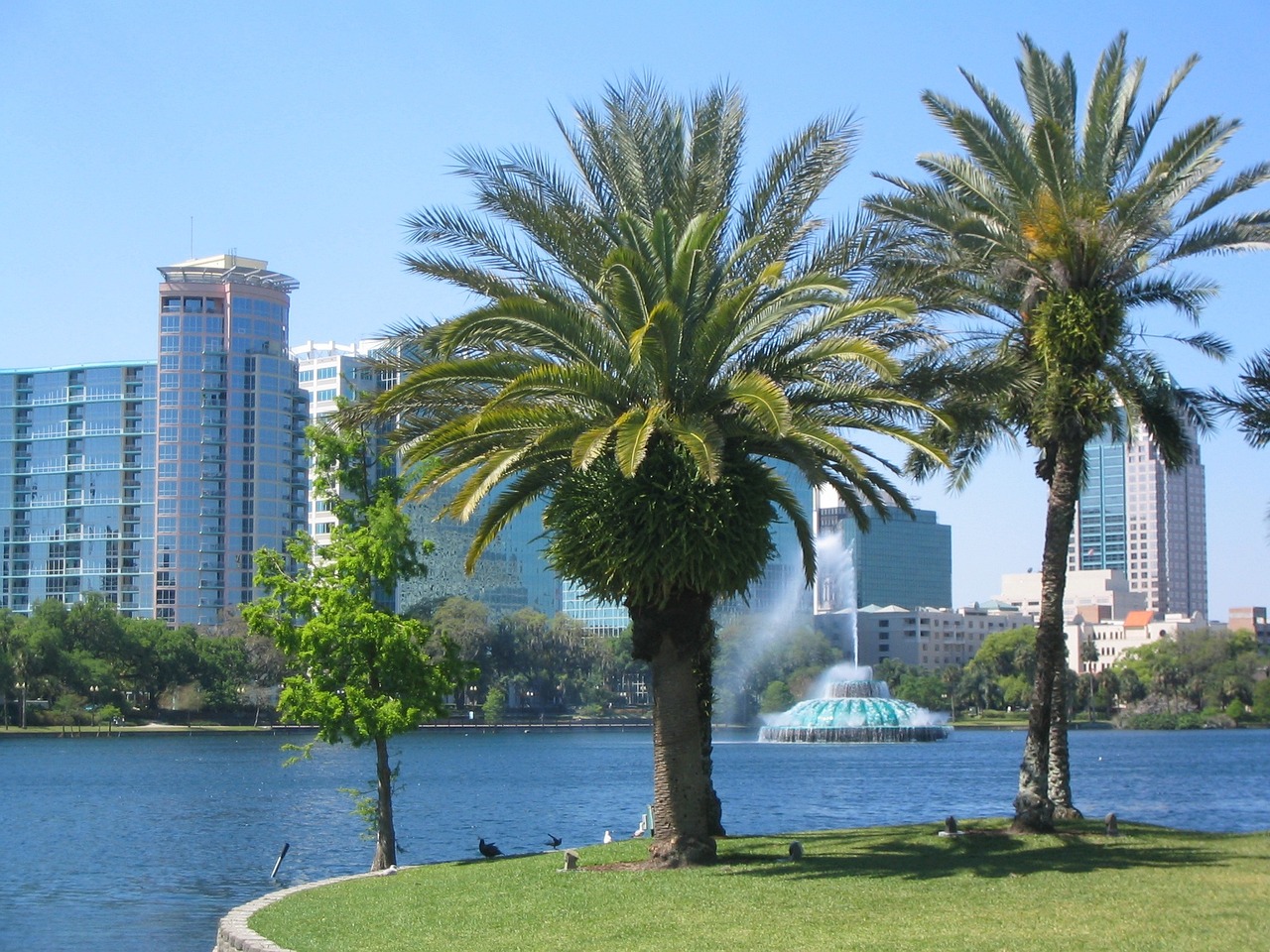 Schüleraustausch in Orlando mit AIFS