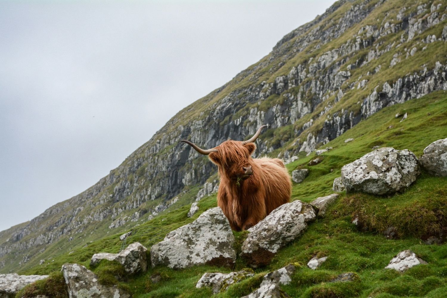 globerocker Reisen in Schottland