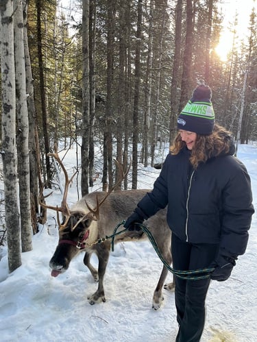 Erlebe Alaska als Au Pair in den USA mit AIFS