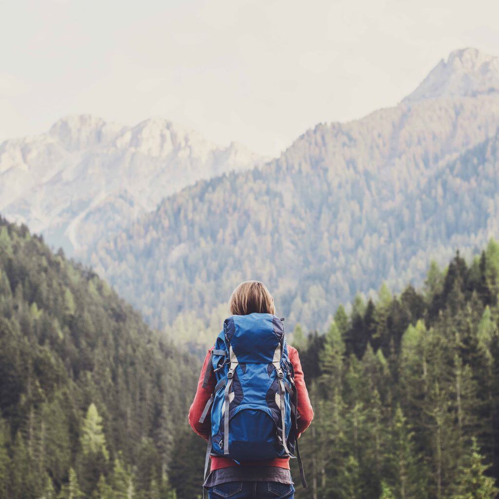 aifs-adventure-trips-person-panorama-wald