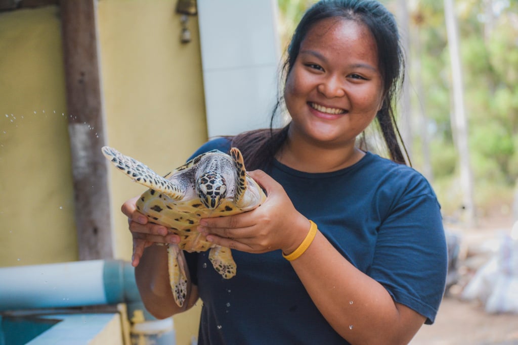 aifs-freiwilligenarbeit-bali-turtle-week