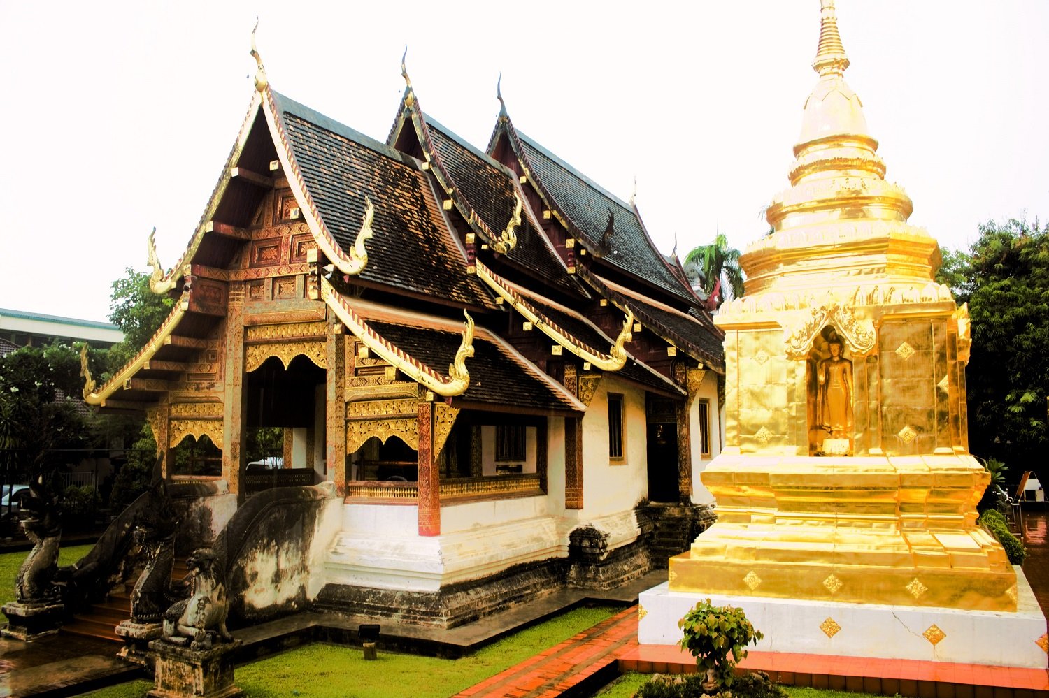 Besuche die Tempel in Thailand beim Adventure Trip mit AIFS