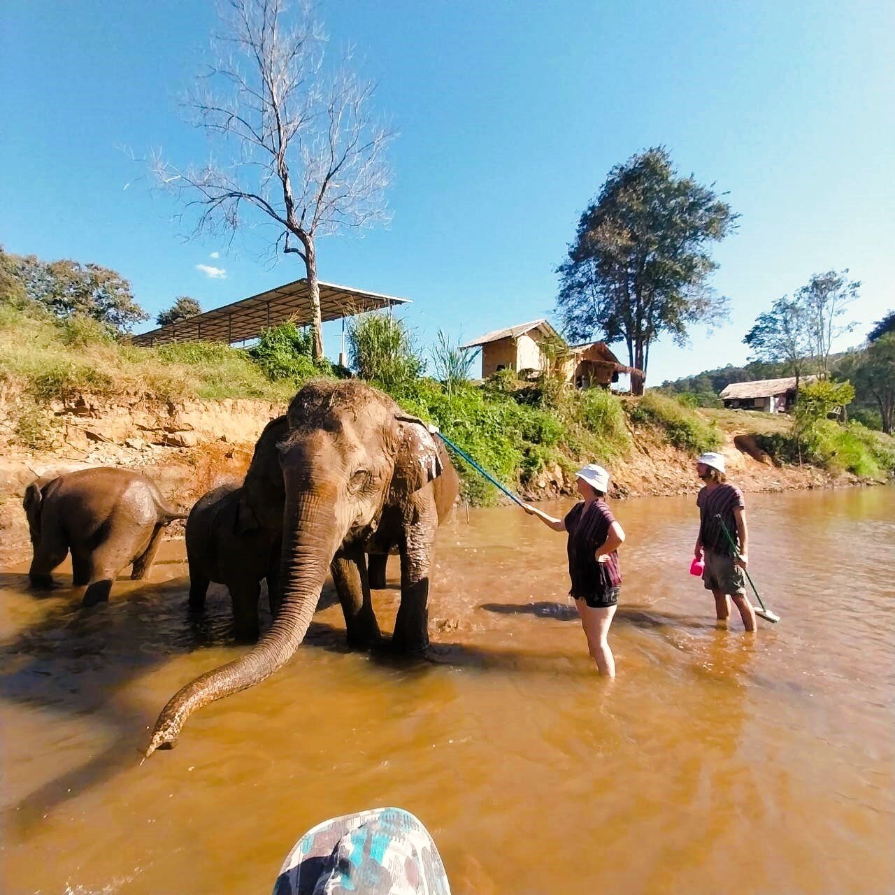 Erfrischende Verbindung: AIFS Adventure Trip - Elefantenwoche in Thailand mit Wasserfreuden und faszinierender Gesellschaft