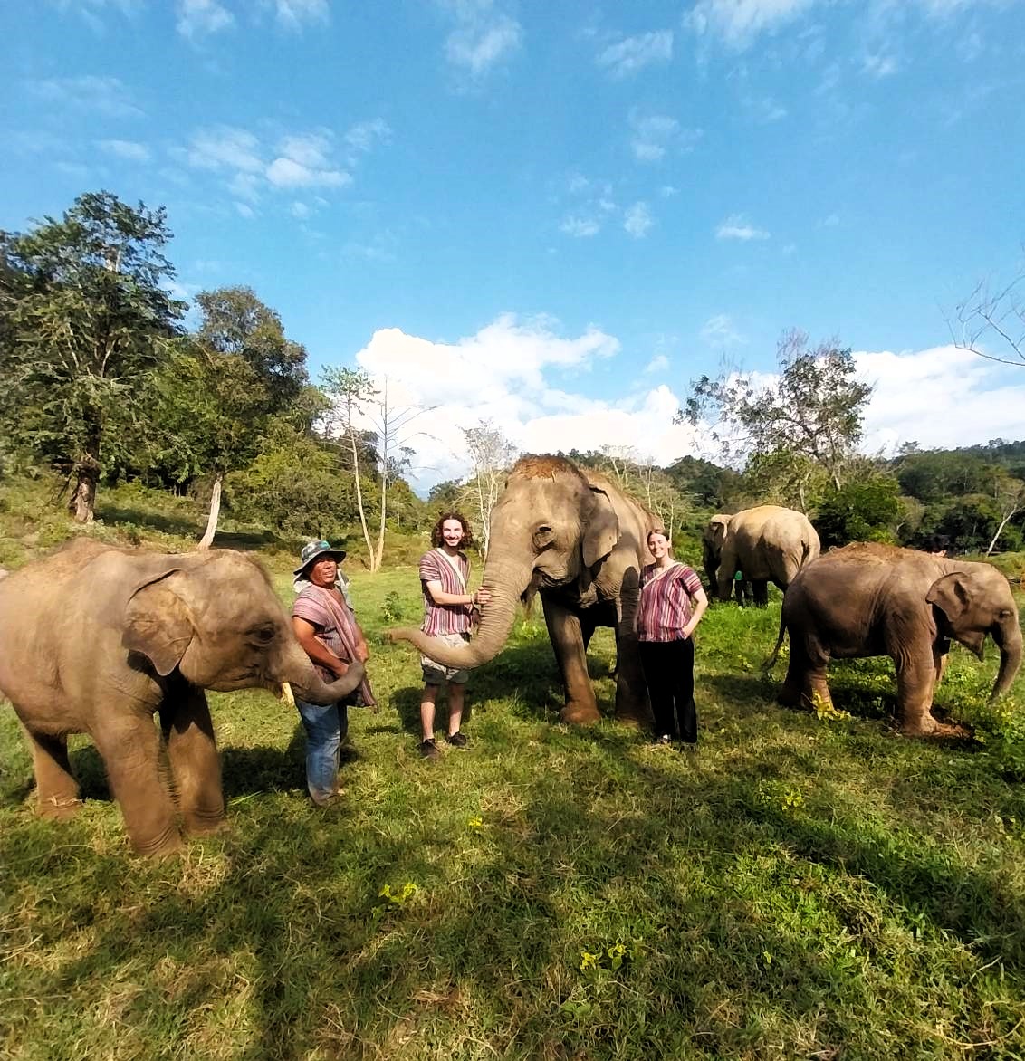Idyllische Momente: AIFS Adventure Trip - Elefantenwoche in Thailand auf einer grünen Wiese mit freundlichen Menschen