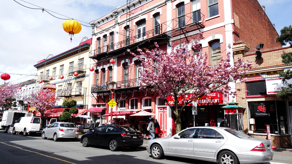 aifs-kanada-vancouver-island-victoria-chinatown-quadratisch-1024x1024