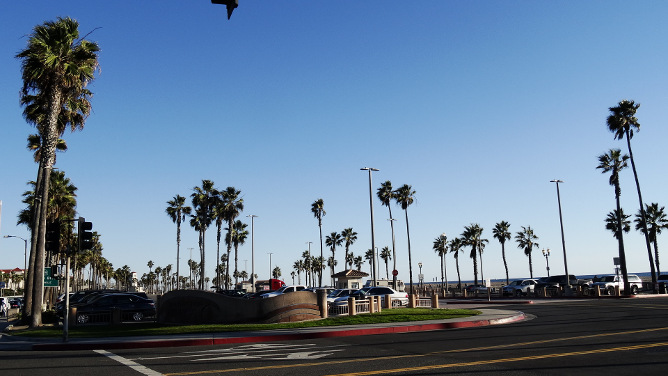 aifs-usa-kalifornien-huntington-beach-palmen-program-carousel-668x1000